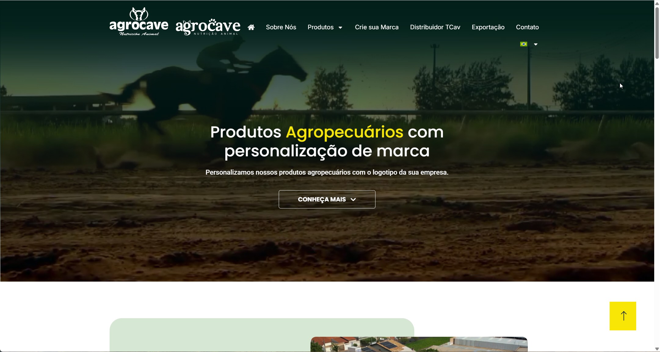 Screenshot do site Agrocave