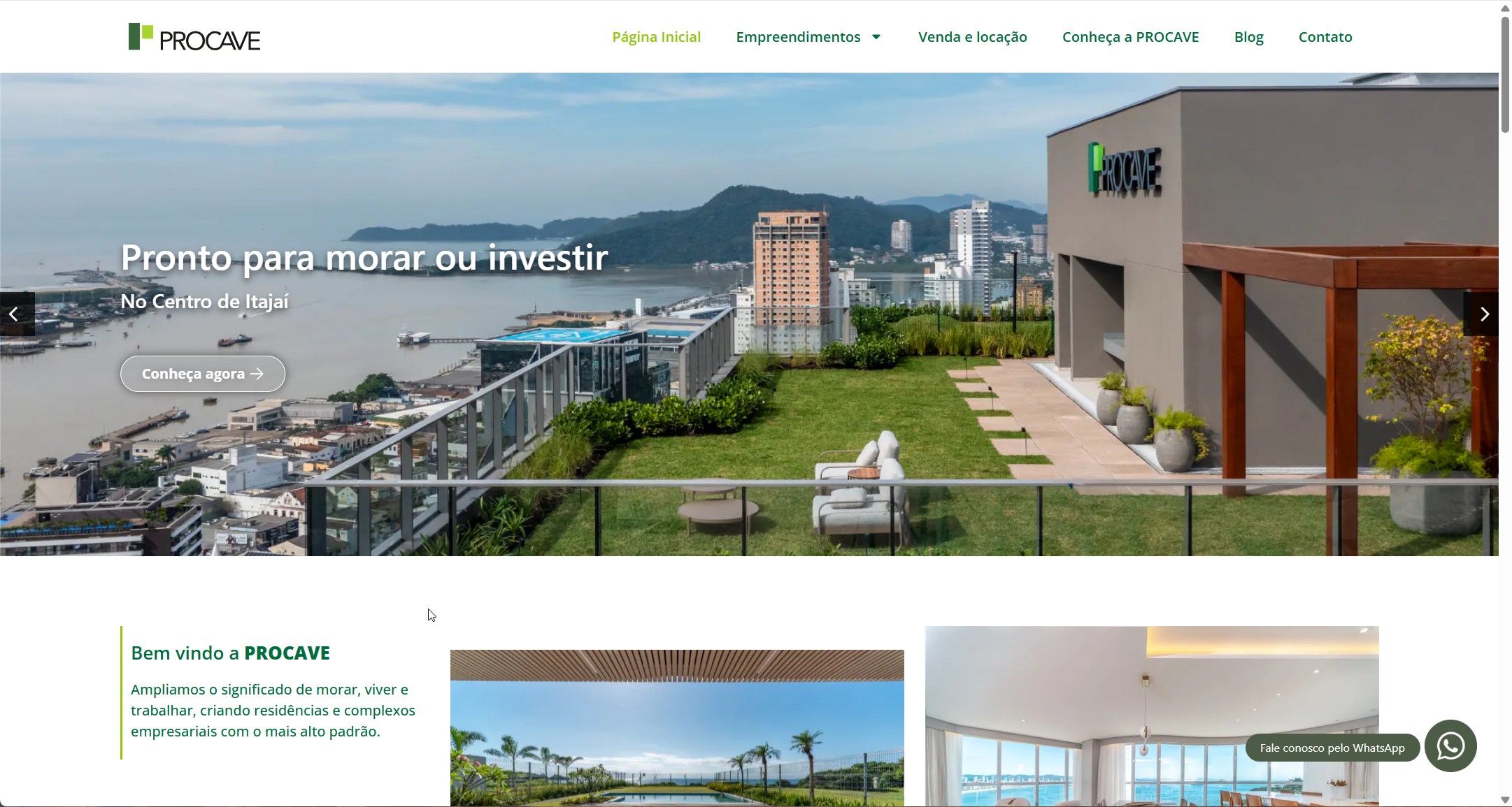 Screenshot do site Procave